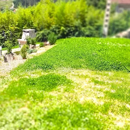 Vakantiehuis Casa A Mi Vera Covelo (Pontevedra)